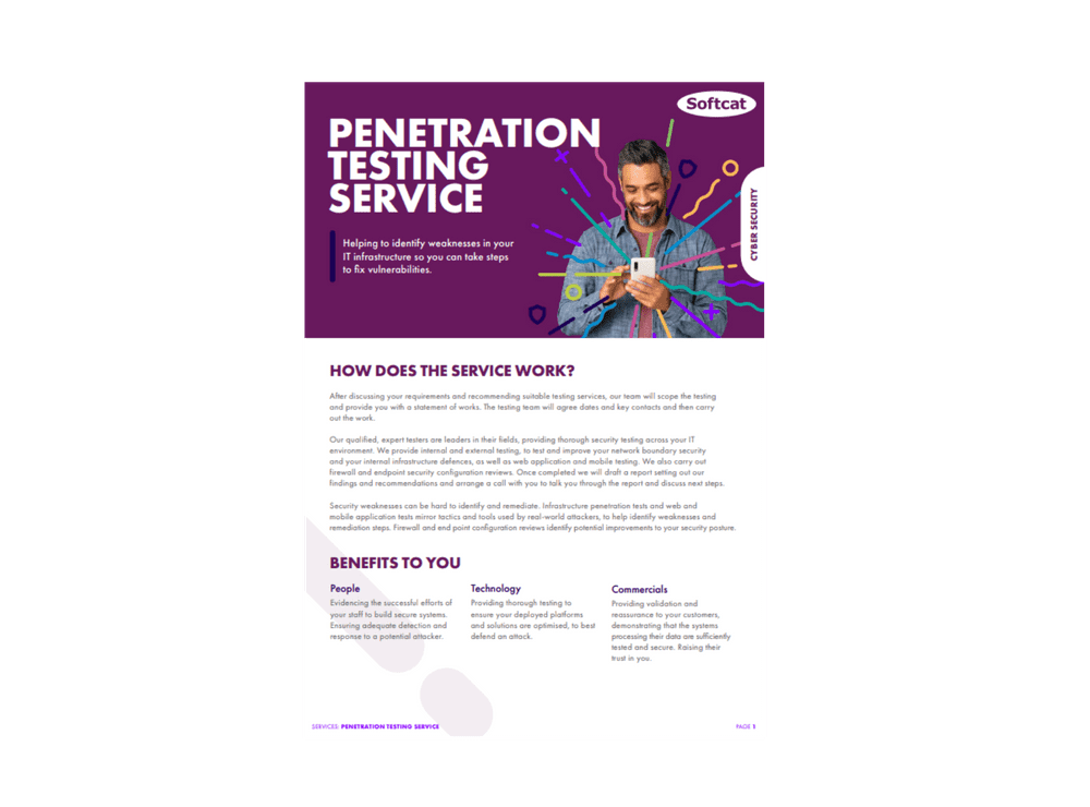 Penetration testing service
