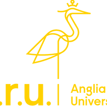ARU Logo Descriptor RGB Yellow