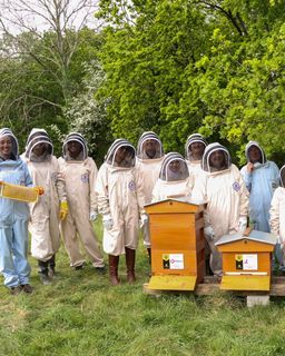 Today is World Bee Day, and we’re celebrating with a look back at our recent Inside the Hive experience. 🐝

As part of our Nature Connect project, Softcat’s biodiversity partnership across our value chain, we’re working with suppliers to support pollinat