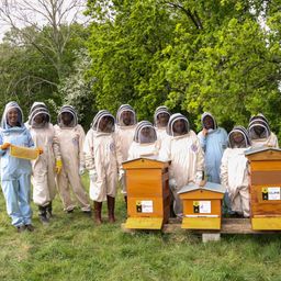 Today is World Bee Day, and we’re celebrating with a look back at our recent Inside the Hive experience. 🐝
As part of our Nature Connect project, Softcat’s biodiversity partnership across our value chain, we’re working with suppliers to support pollinat