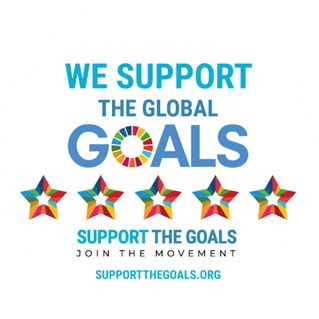 the global goals logo