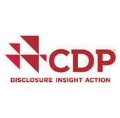 cdp disclosure insight action