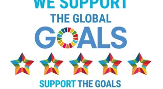 the global goals logo