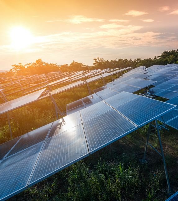 sustainability goals