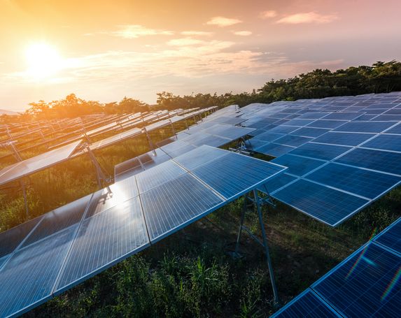 sustainability goals