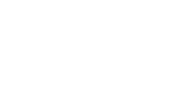 income analytics white