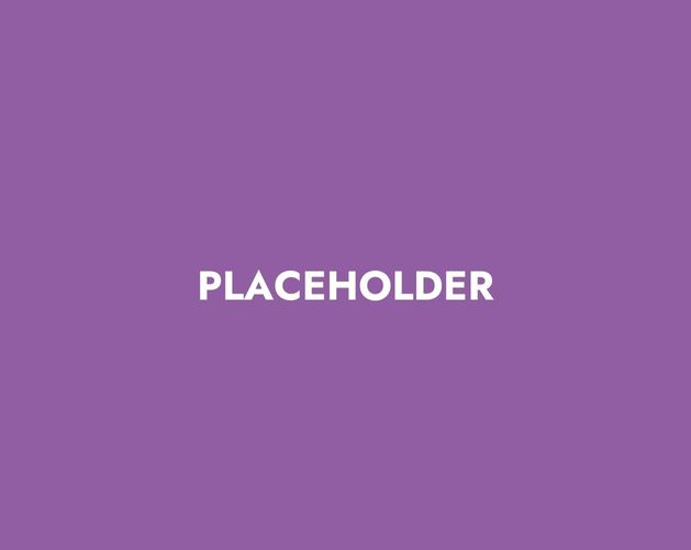 PLACEHOLDER 1258 x 1000
