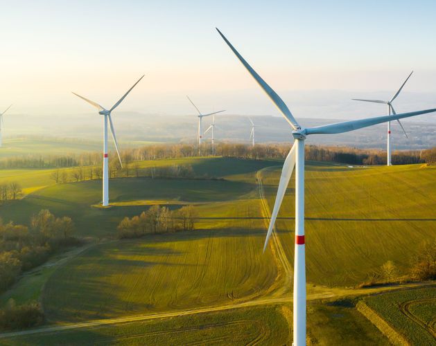 shutterstock 1933377149