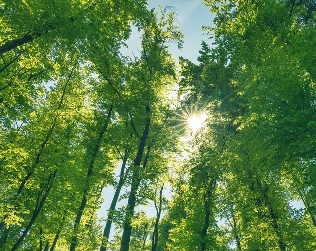 shutterstock 1724592682