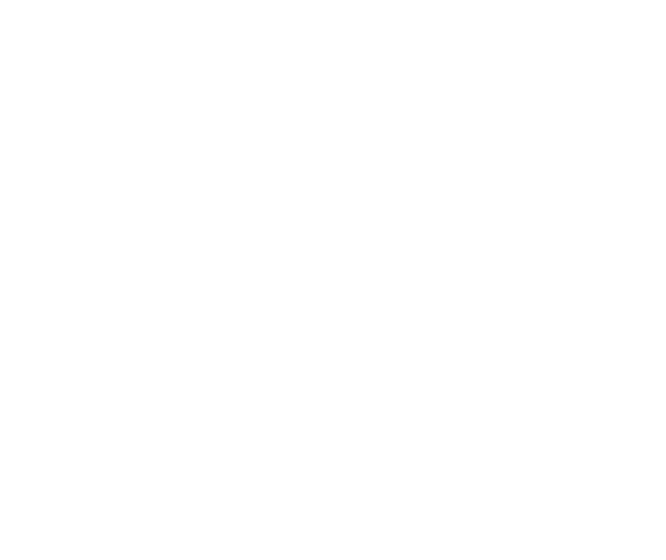 Netapp partner page