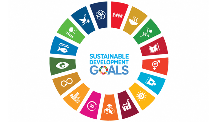 UN goals services key points